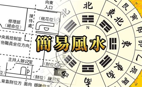 自來貓入屋|MASTERSO.COM 蘇民峰命理風水網站